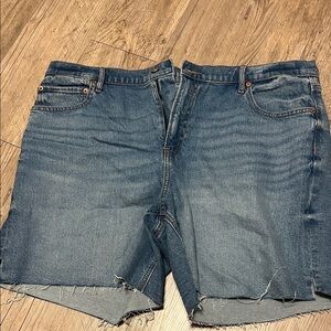 American Eagle Outfitters Light Blue Denim Shorts